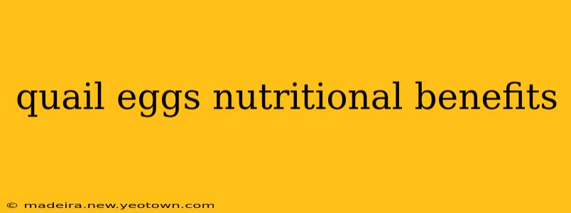 quail eggs nutritional benefits