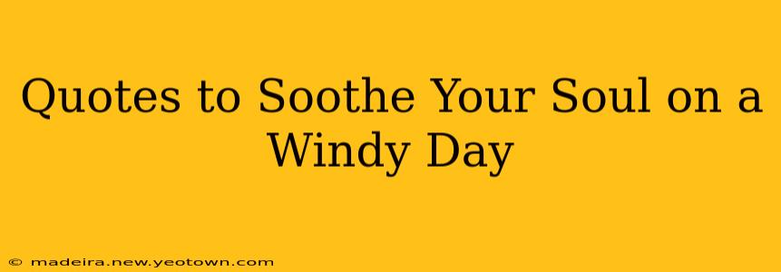 Quotes to Soothe Your Soul on a Windy Day
