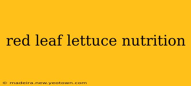 red leaf lettuce nutrition