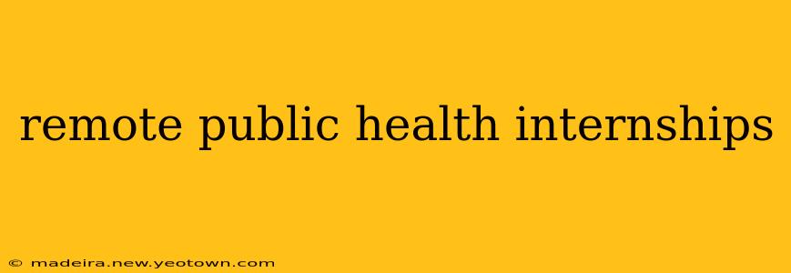 remote public health internships