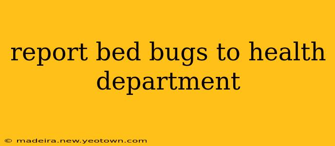 report bed bugs to health department