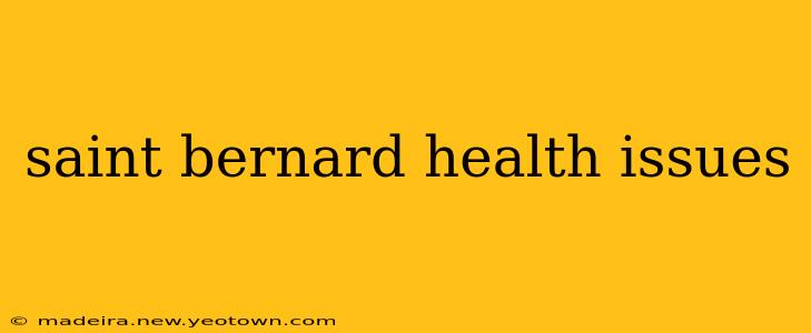 saint bernard health issues