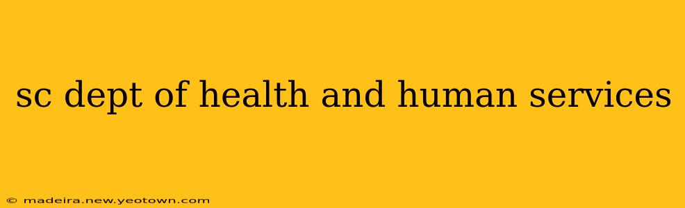 sc dept of health and human services
