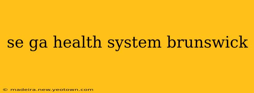se ga health system brunswick