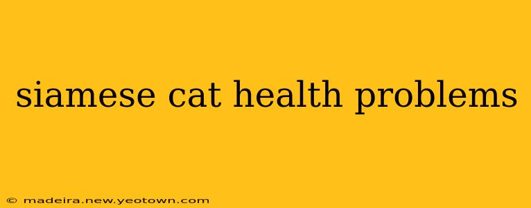 siamese cat health problems