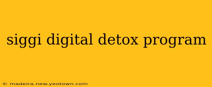 siggi digital detox program