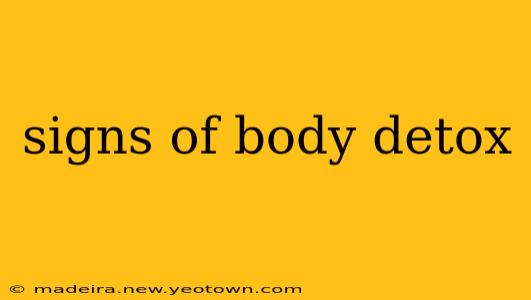 signs of body detox