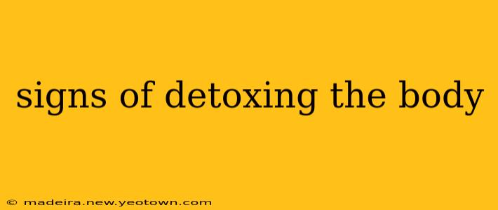 signs of detoxing the body
