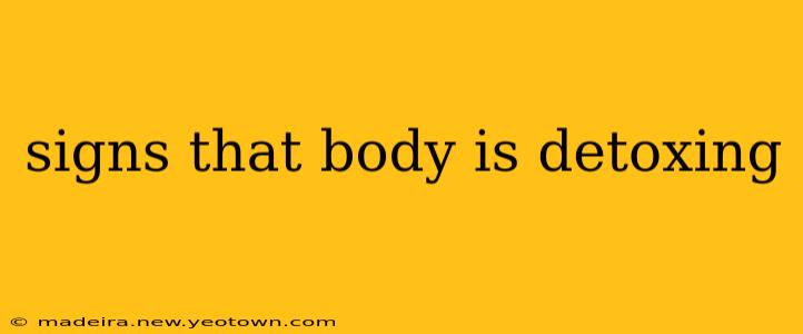 signs that body is detoxing