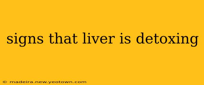signs that liver is detoxing