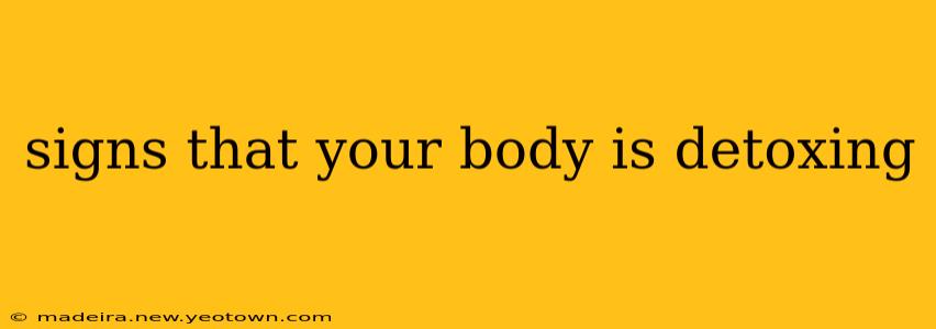 signs that your body is detoxing