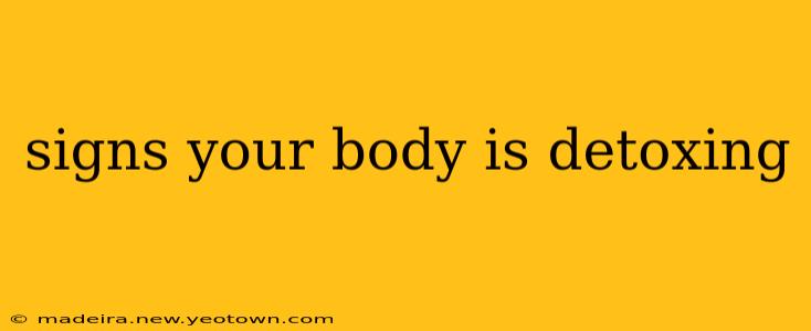 signs your body is detoxing