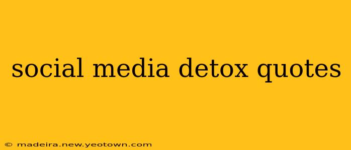social media detox quotes