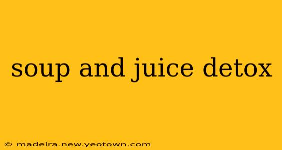soup and juice detox