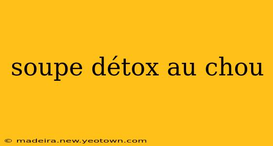 soupe détox au chou