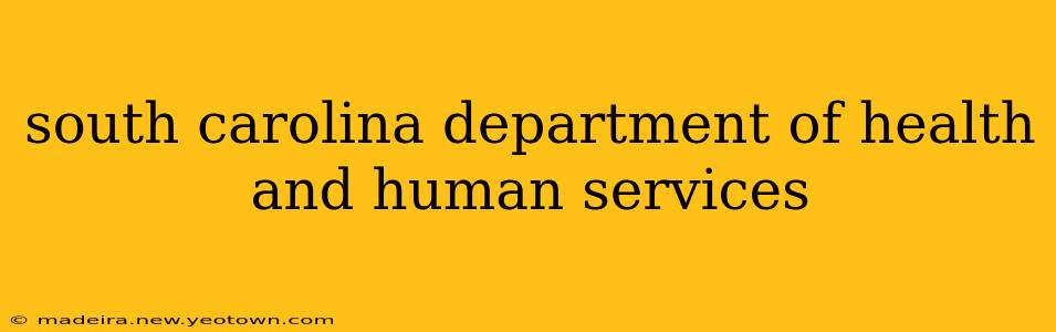south carolina department of health and human services