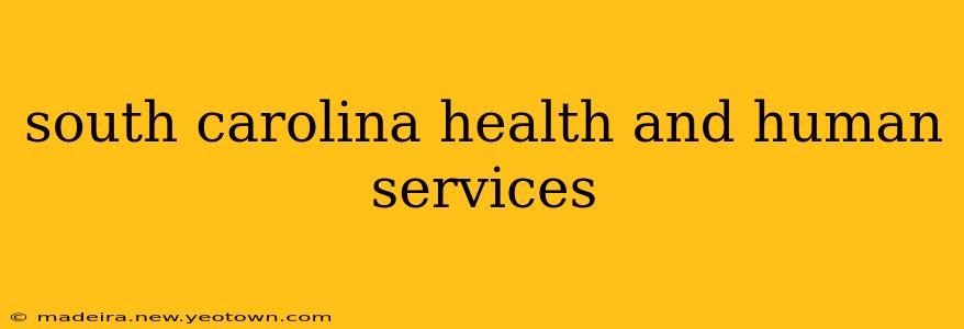 south carolina health and human services