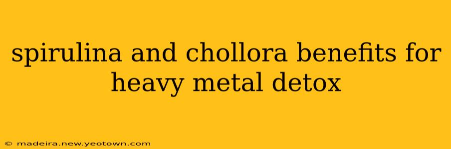 spirulina and chollora benefits for heavy metal detox