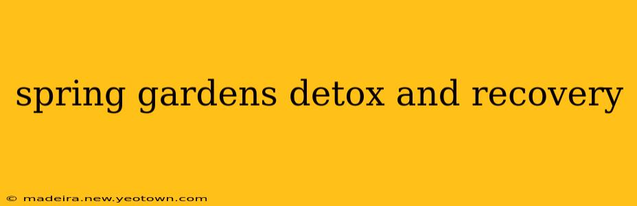 spring gardens detox and recovery
