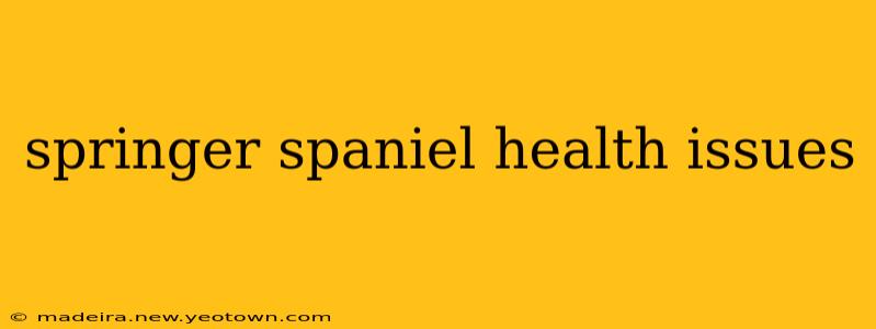 springer spaniel health issues