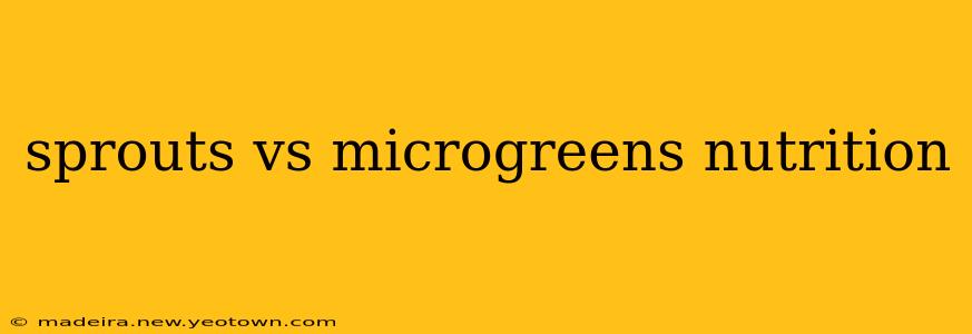 sprouts vs microgreens nutrition