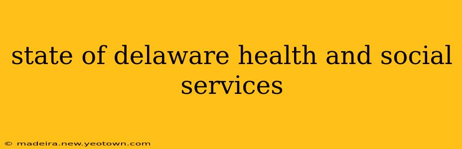 state of delaware health and social services