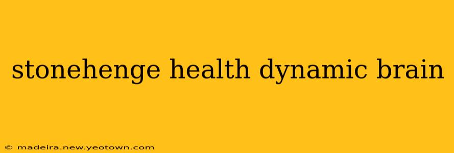 stonehenge health dynamic brain