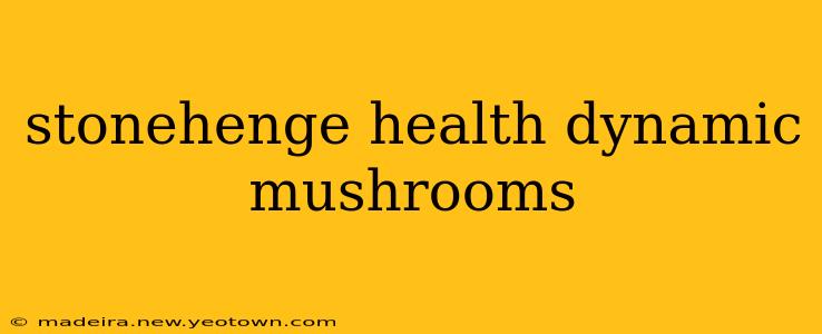 stonehenge health dynamic mushrooms
