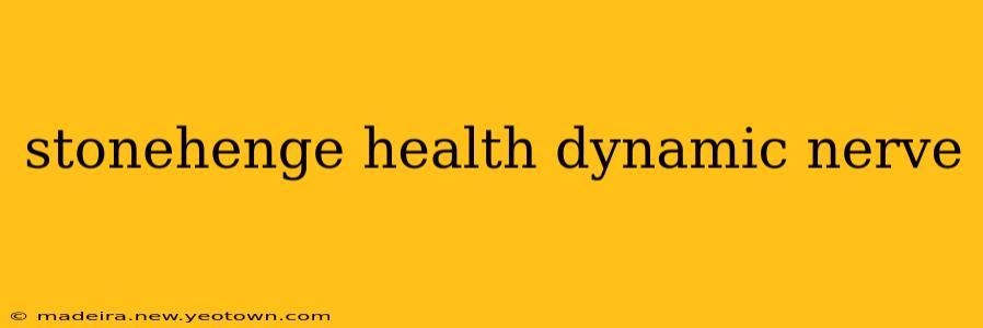 stonehenge health dynamic nerve