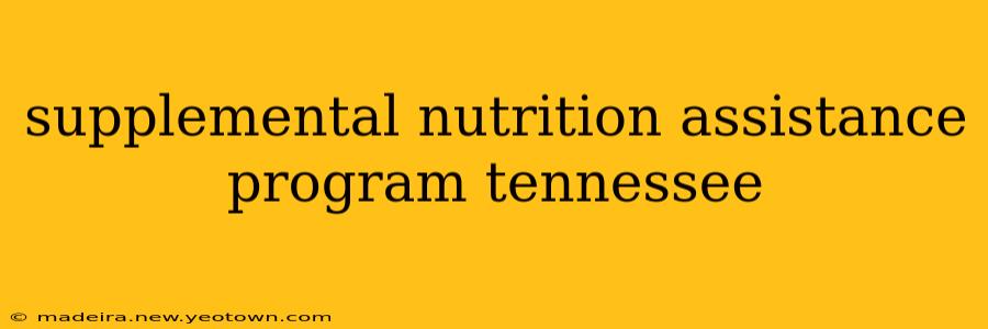 supplemental nutrition assistance program tennessee