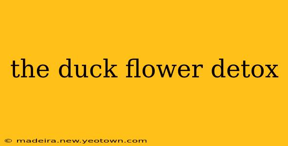 the duck flower detox