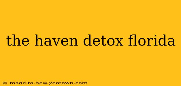 the haven detox florida