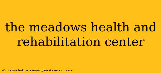 the meadows health and rehabilitation center