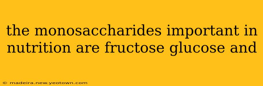 the monosaccharides important in nutrition are fructose glucose and