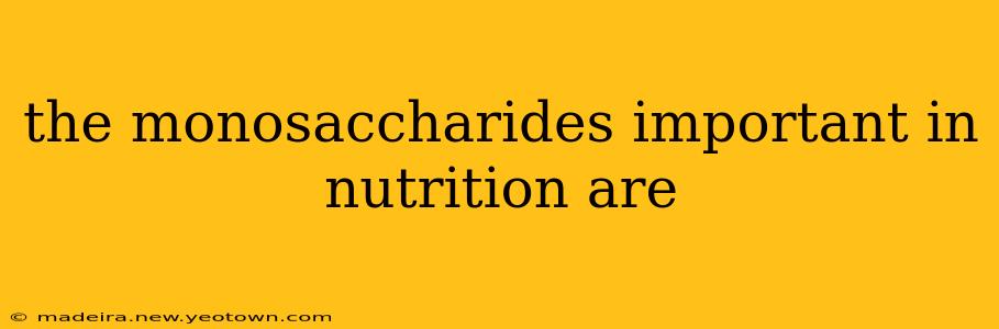 the monosaccharides important in nutrition are