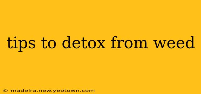 tips to detox from weed