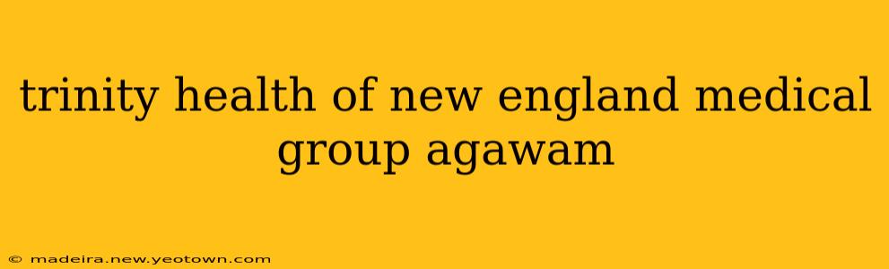 trinity health of new england medical group agawam