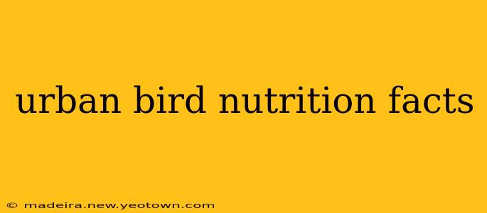 urban bird nutrition facts