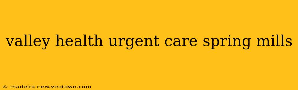 valley health urgent care spring mills