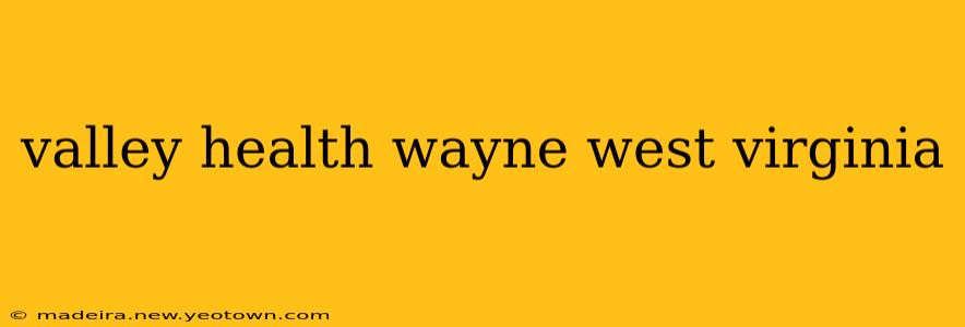valley health wayne west virginia