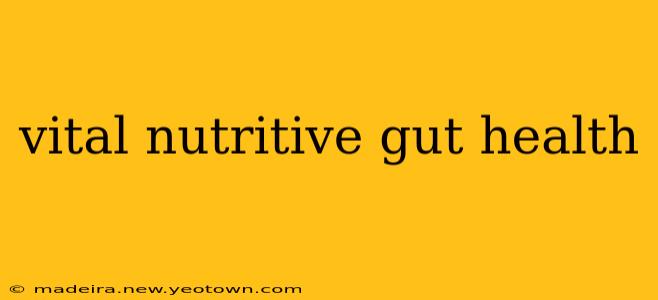 vital nutritive gut health