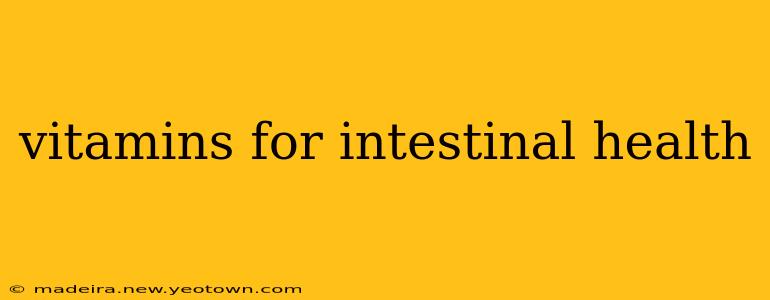 vitamins for intestinal health
