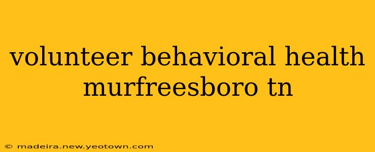volunteer behavioral health murfreesboro tn