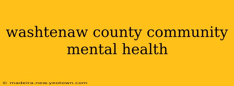 washtenaw county community mental health