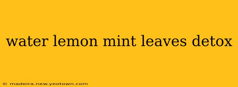 water lemon mint leaves detox