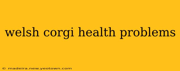 welsh corgi health problems