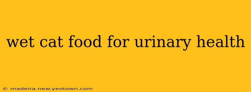 wet cat food for urinary health