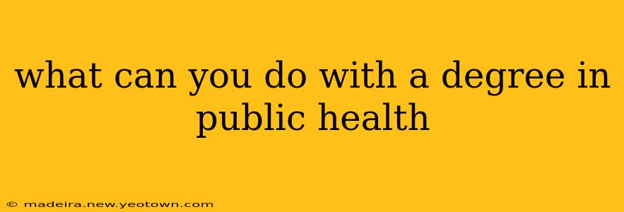 what can you do with a degree in public health