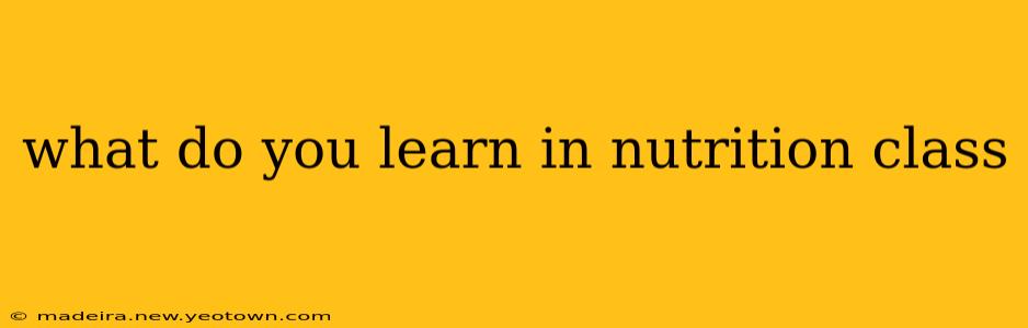 what do you learn in nutrition class