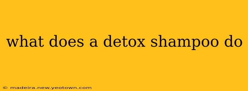what does a detox shampoo do